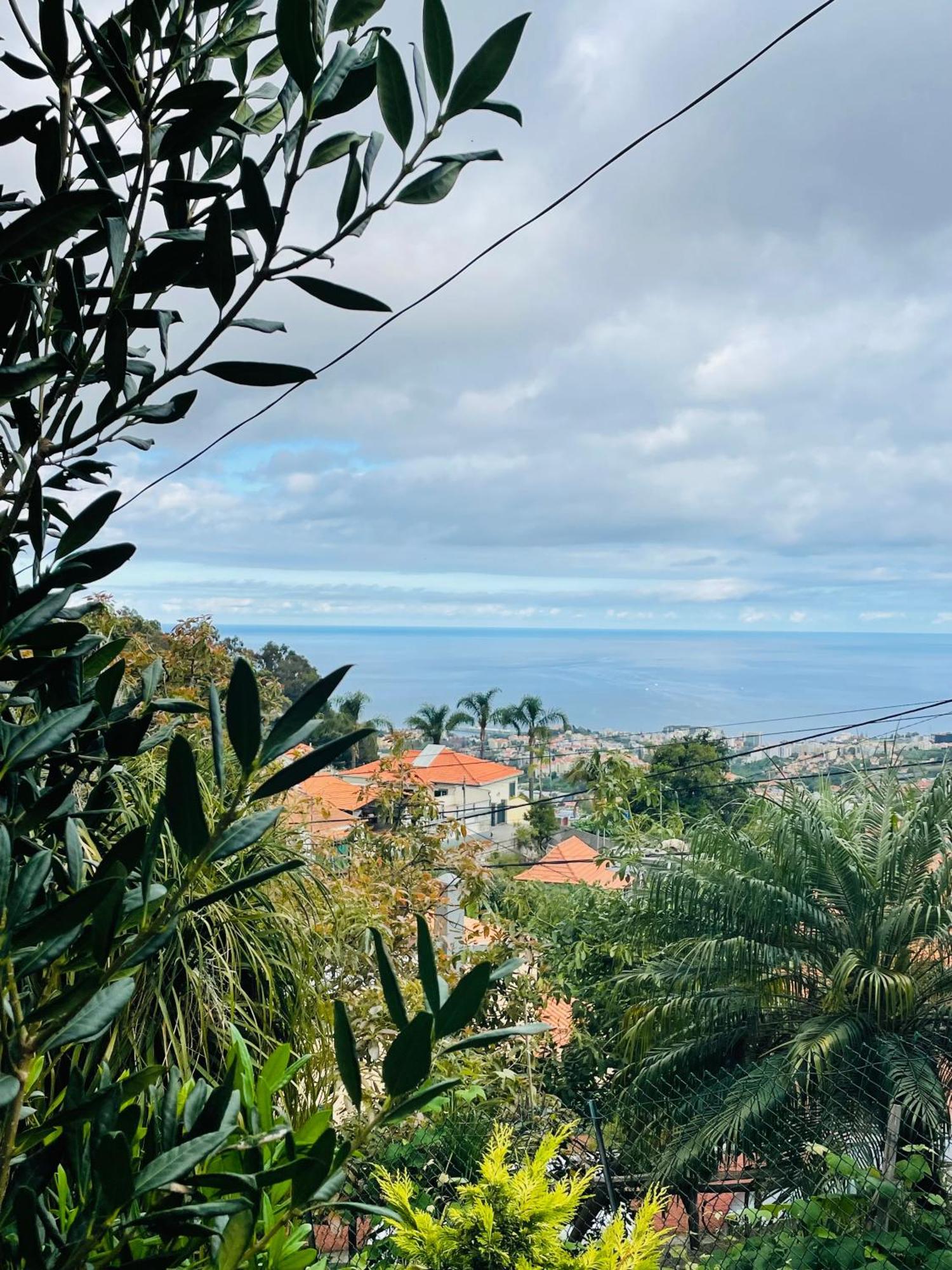 Hotel Cozy House Funchal  Esterno foto
