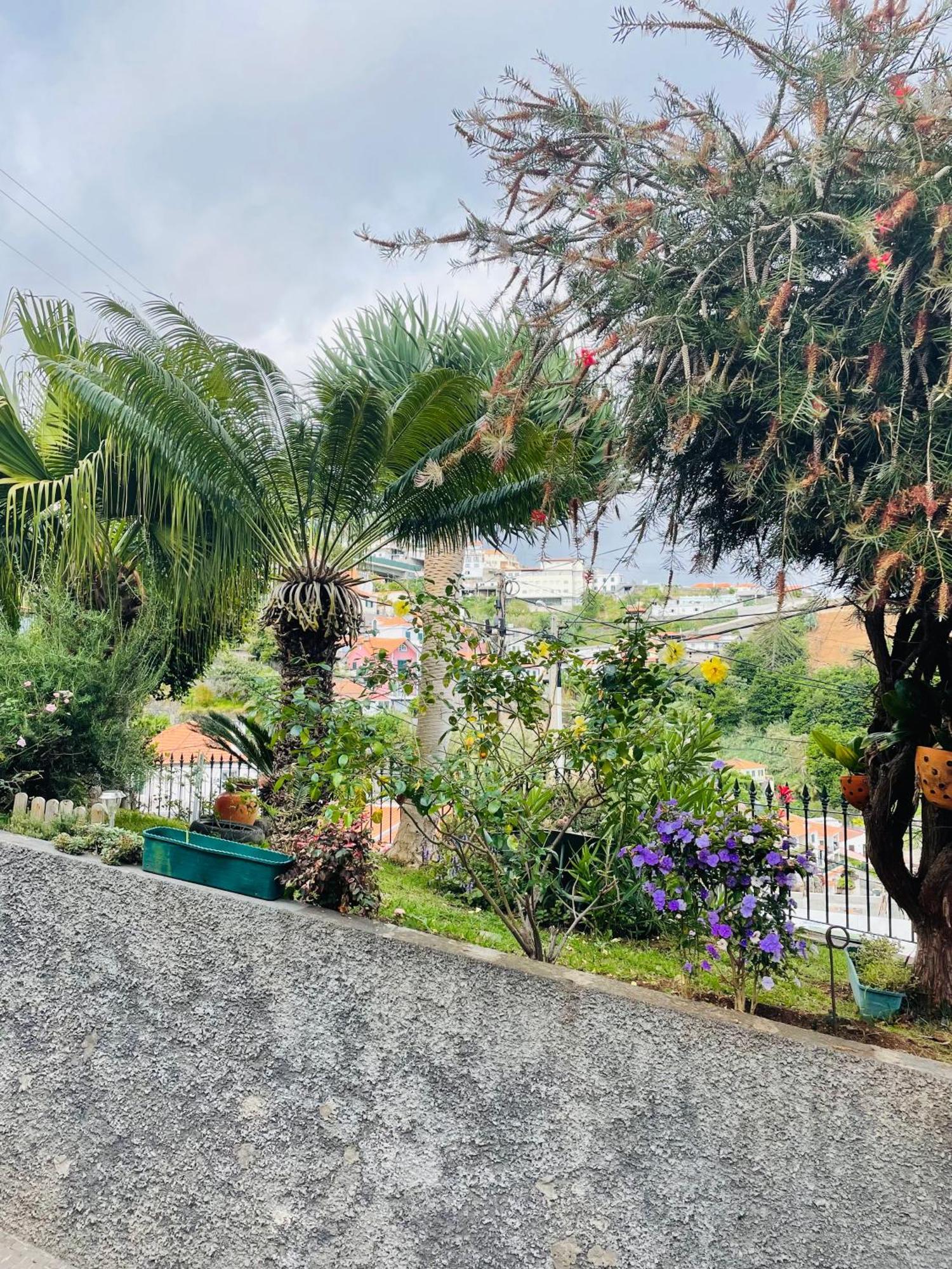 Hotel Cozy House Funchal  Esterno foto