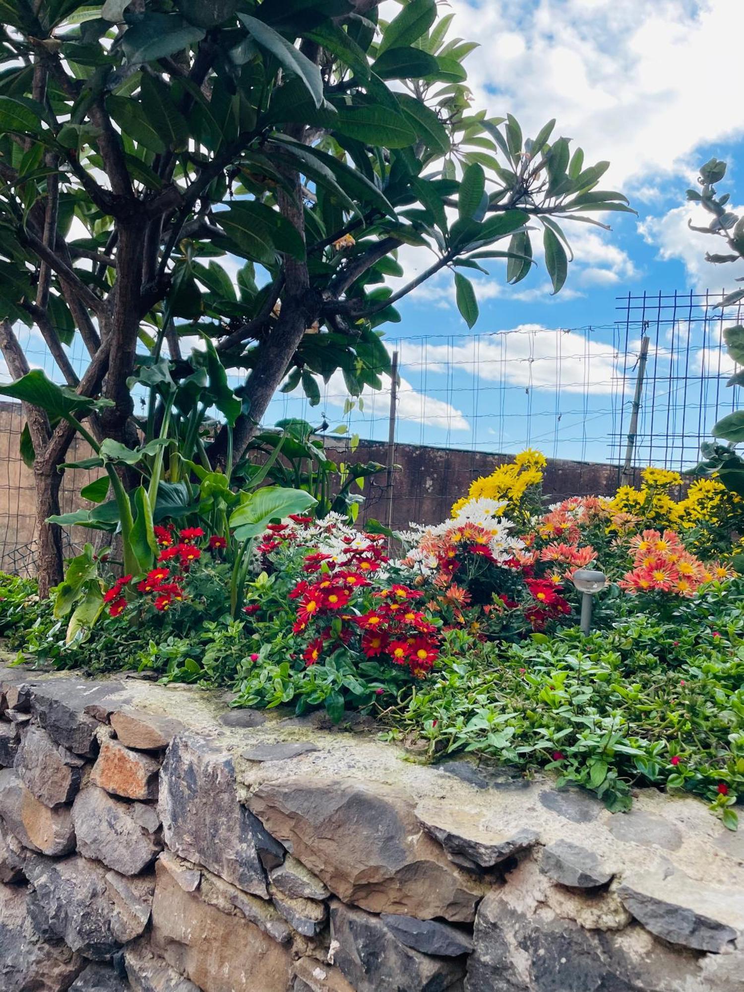 Hotel Cozy House Funchal  Esterno foto