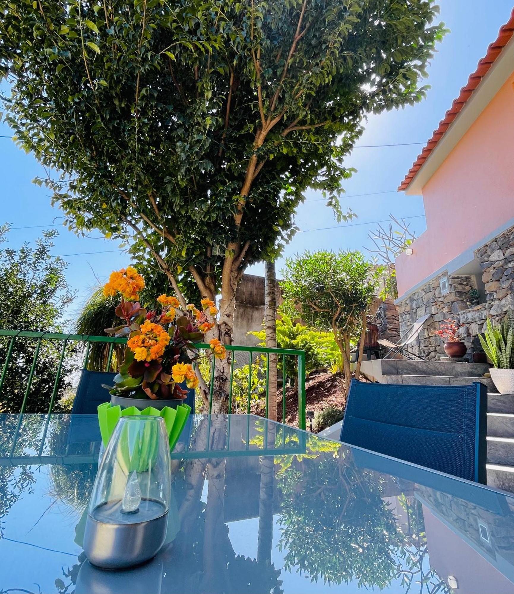 Hotel Cozy House Funchal  Esterno foto